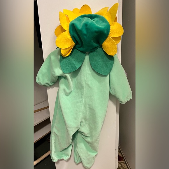 Flower Halloween Costume - 18 months - Picture 3 of 6